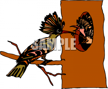 Invertebrates Clipart