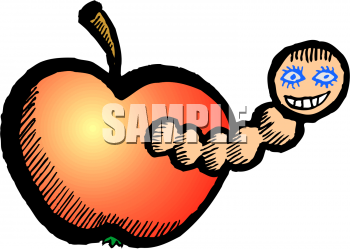 Insect Clipart