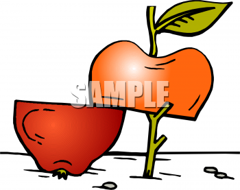 Food Clipart