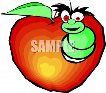 Insect Clipart