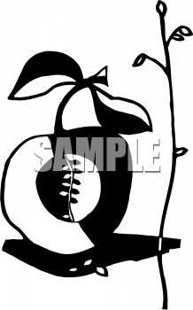 Food Clipart