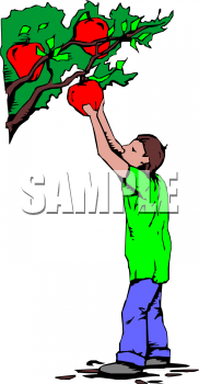 Food Clipart