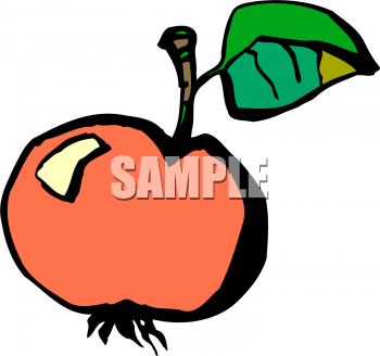 Food Clipart
