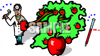Food Clipart
