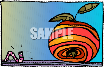 Insect Clipart