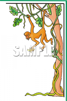 Primate Clipart