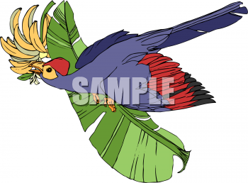 Food Clipart