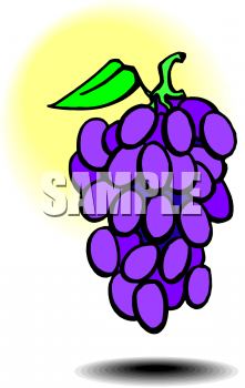 Food Clipart