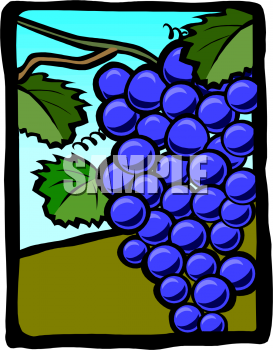 Food Clipart