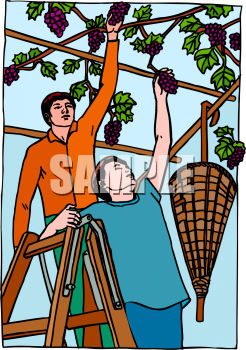 Farm Produce Clipart