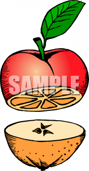 Food Clipart
