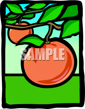 Food Clipart