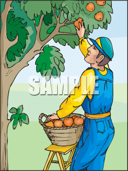 Food Clipart