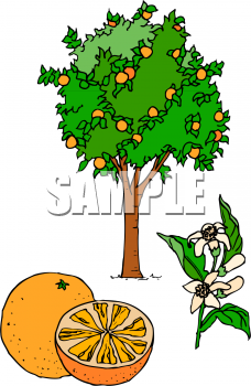 Food Clipart