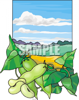 Farm Buildings Clipart