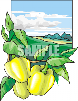 Farm Produce Clipart