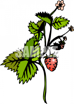 Food Clipart