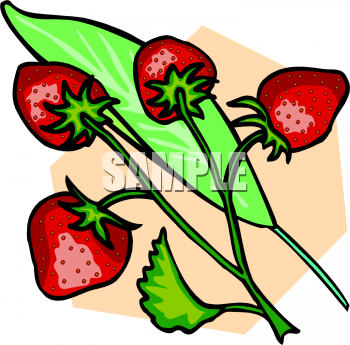Food Clipart