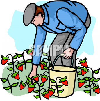 Food Clipart