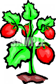 Farm Produce Clipart