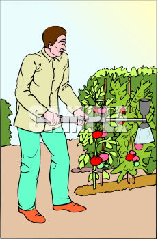 Farm Buildings Clipart