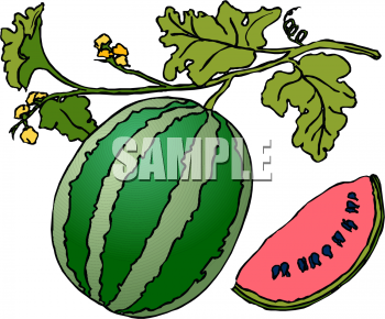 Food Clipart