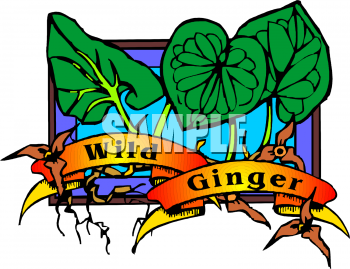 Food Clipart