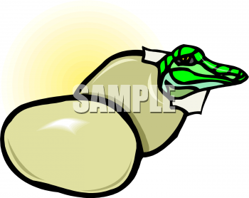 Reptile Clipart