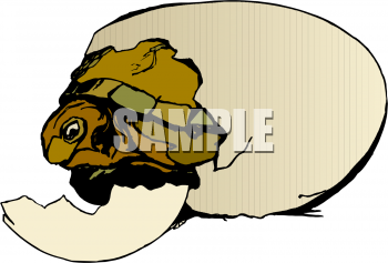 Reptile Clipart