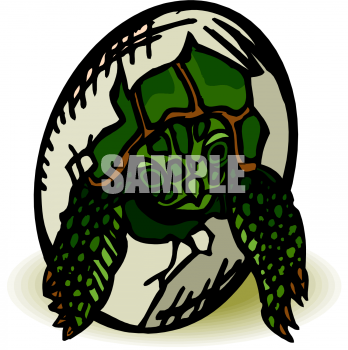 Reptile Clipart