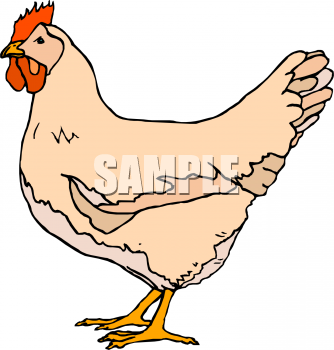 Farm Animal Clipart