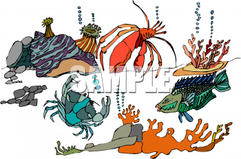Fish and Sea Life Clipart