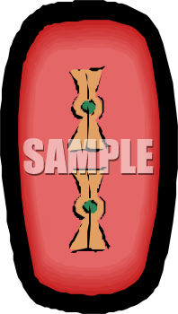Food Clipart