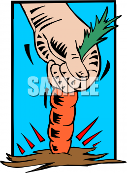 Food Clipart
