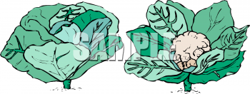 Food Clipart