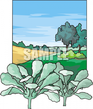 Farm Produce Clipart