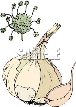 Food Clipart