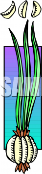 Food Clipart