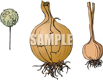 Food Clipart