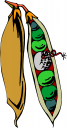 Food Clipart