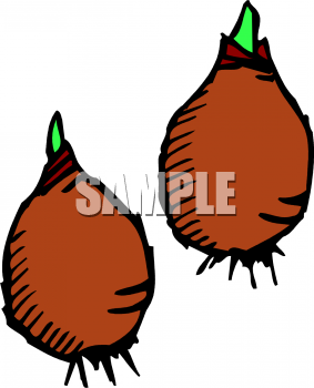 Food Clipart
