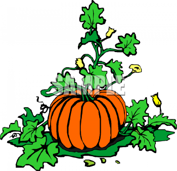 Food Clipart