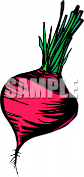 Food Clipart