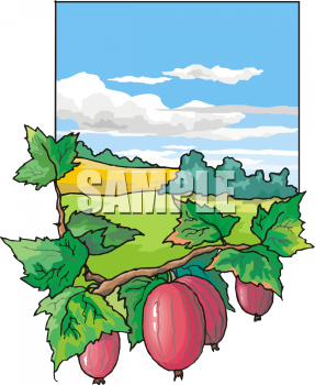 Farm Produce Clipart
