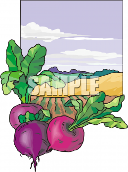 Farm Produce Clipart
