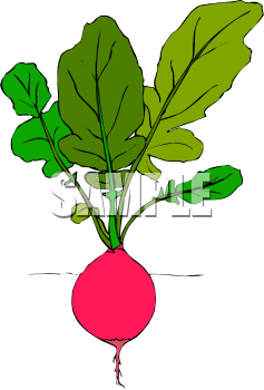 Food Clipart