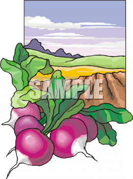 Farm Produce Clipart