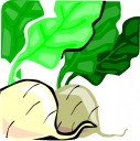 Food Clipart