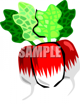 Food Clipart