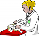 Pet Clipart